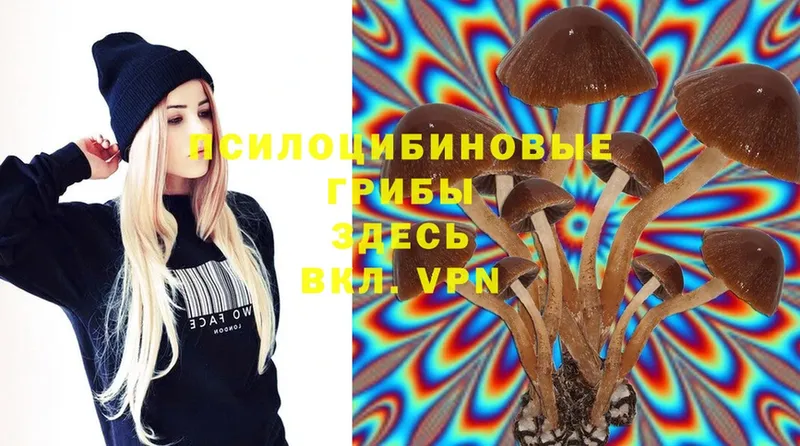 Псилоцибиновые грибы Psilocybe  мега онион  Ипатово 